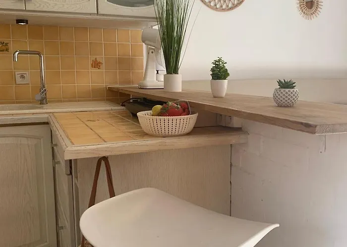 Apartment Bright With Small Terrace